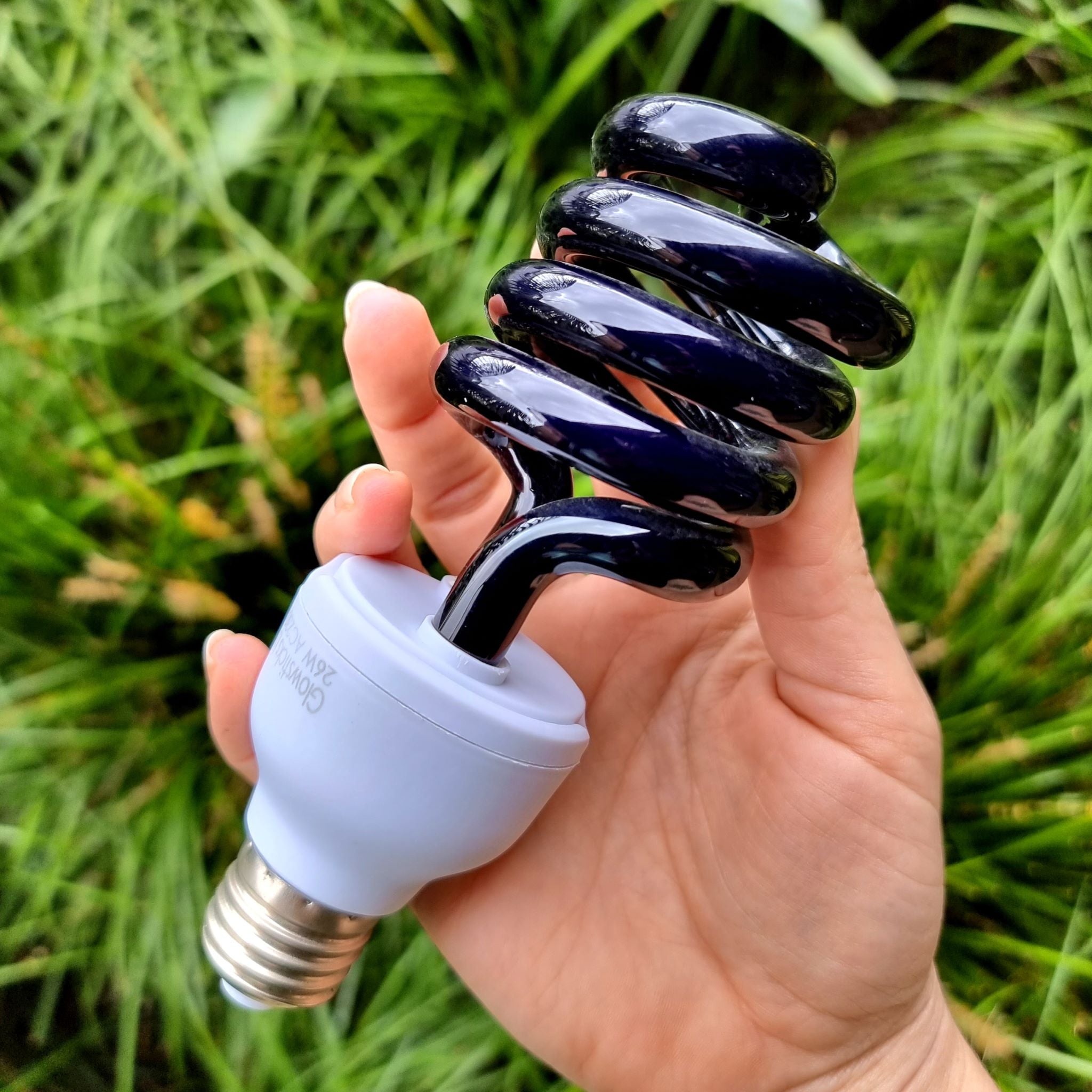 Fluorescent Light Bulb #1536