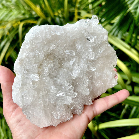 Clear Quartz Cluster #1553