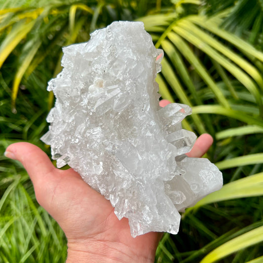 Clear Quartz Cluster #1557