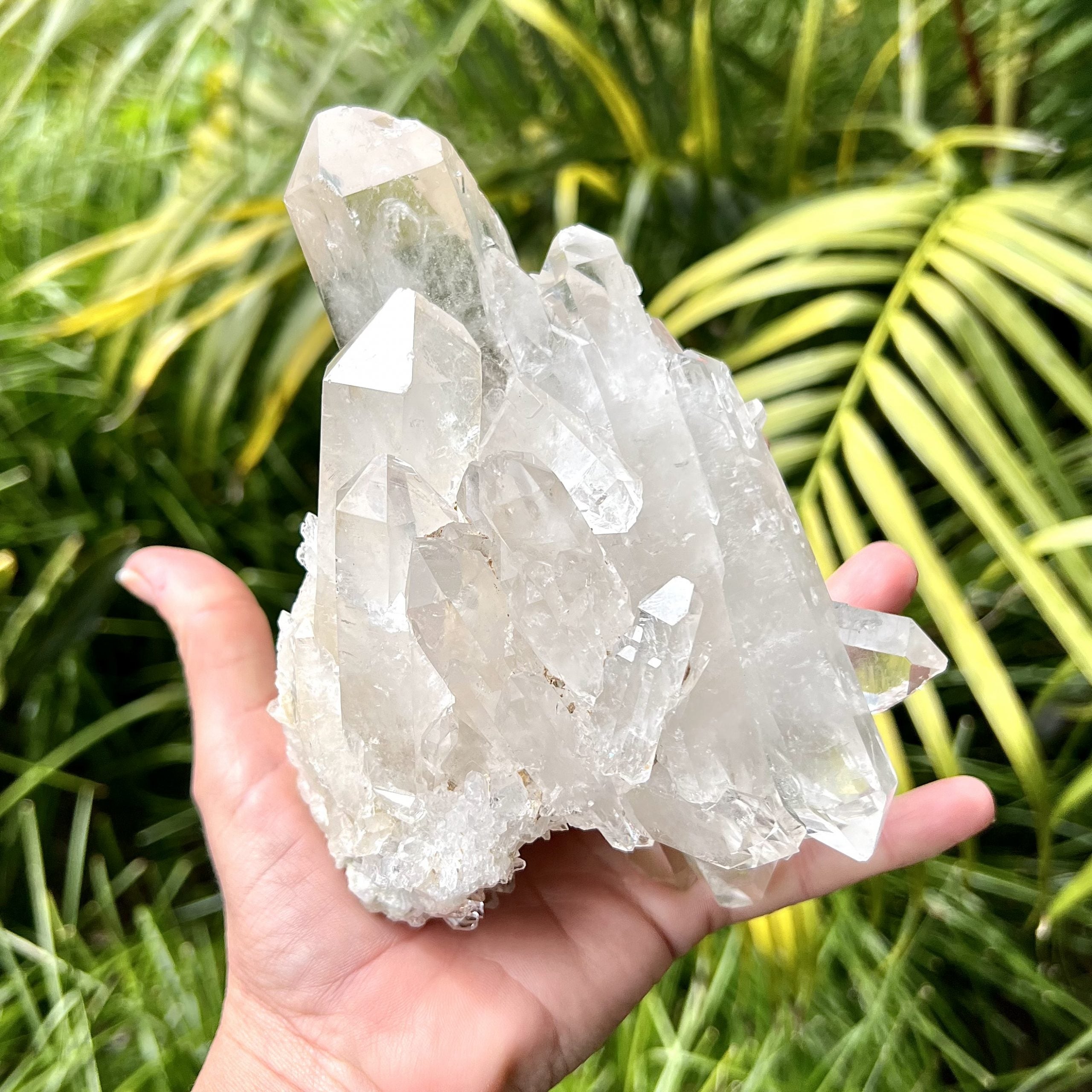 Clear Quartz Cluster #1558