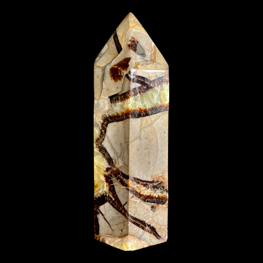 Septarian Point #1717