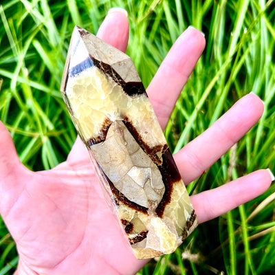 Septarian Point #1717