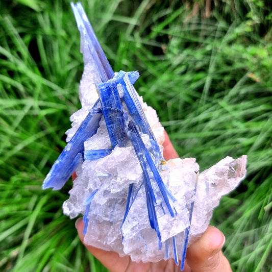 Kyanite Cluster #2083