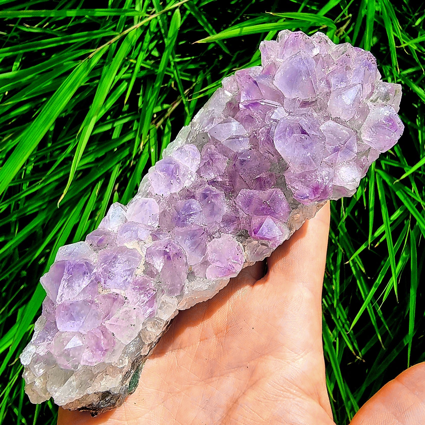 Amethyst Cluster #1045