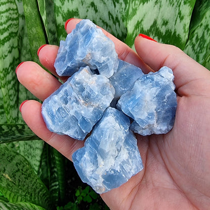 Blue Calcite Rough Selection #1480