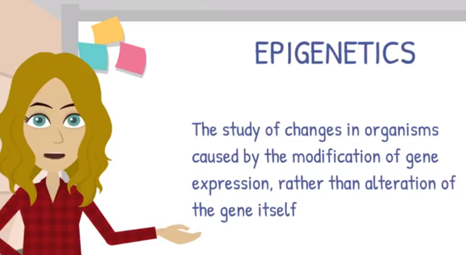 Epigenetic Testing