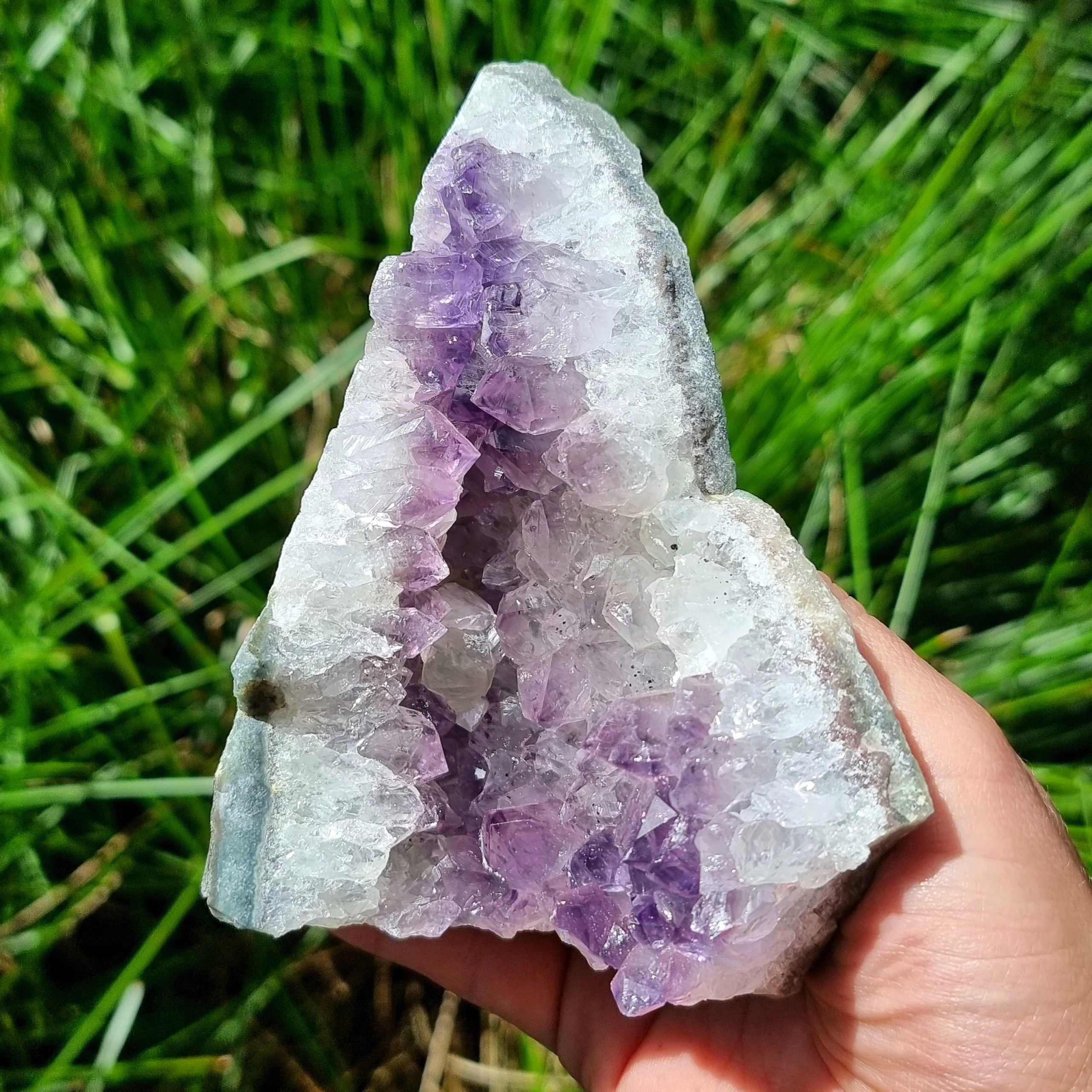 Amethyst Cluster #1969