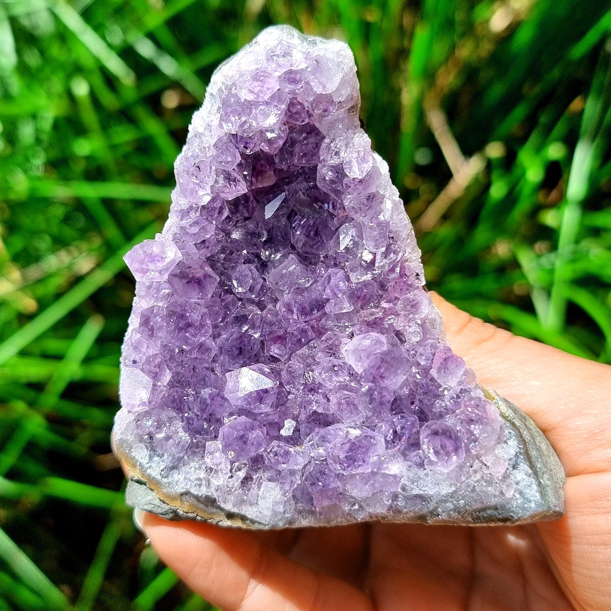 Amethyst Cluster #1977