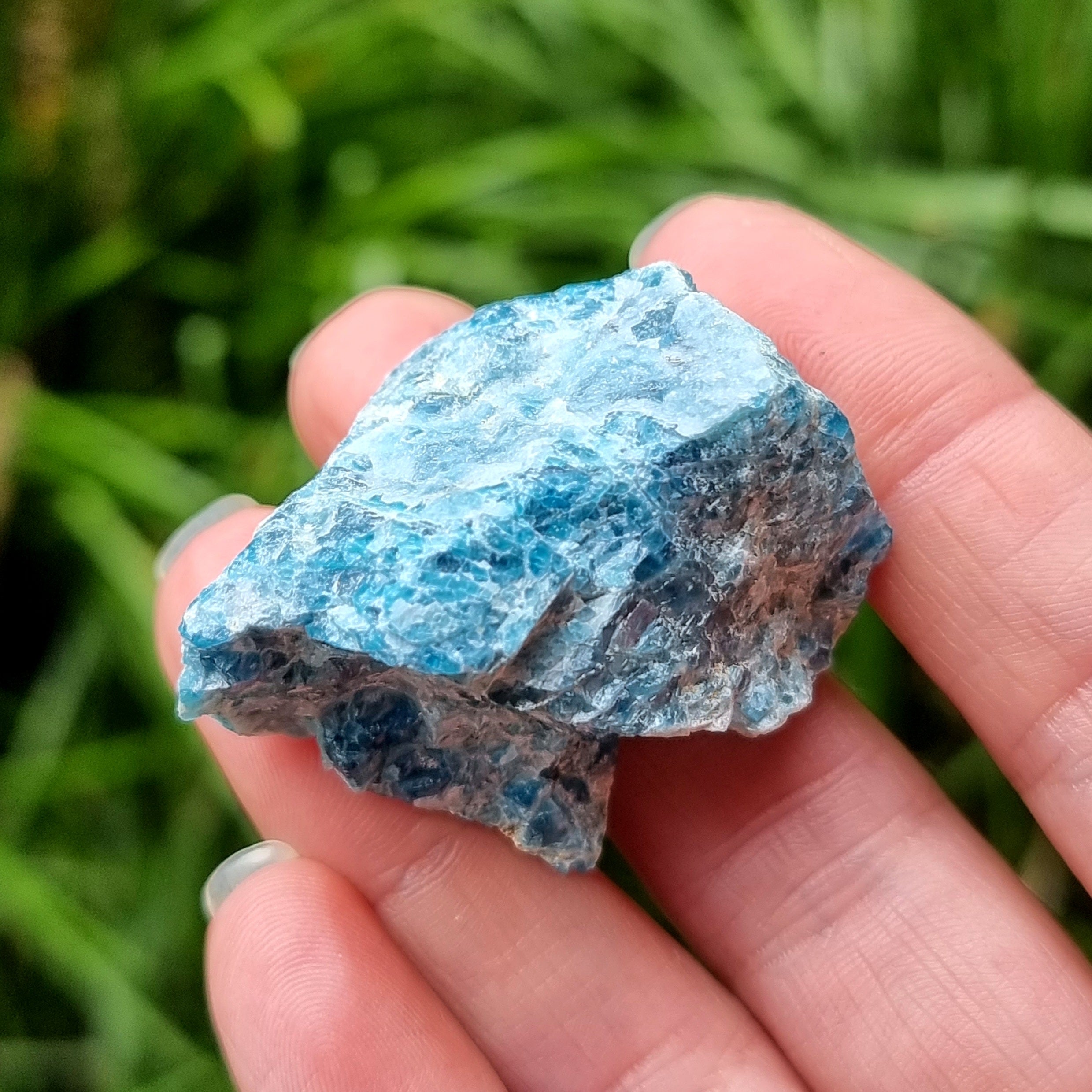 Blue Apatite Rough #1479