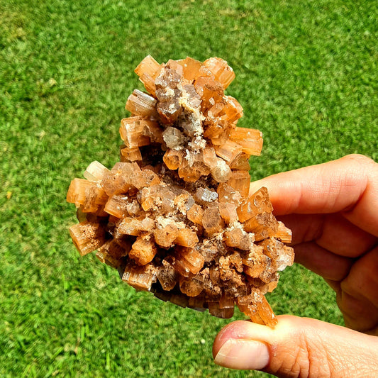 Aragonite Sputnik Cluster #1414