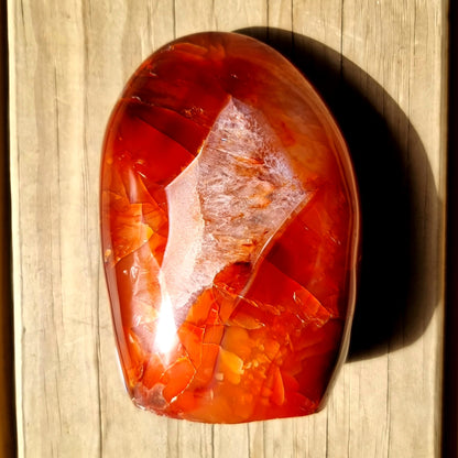 Carnelian Freeform #2124