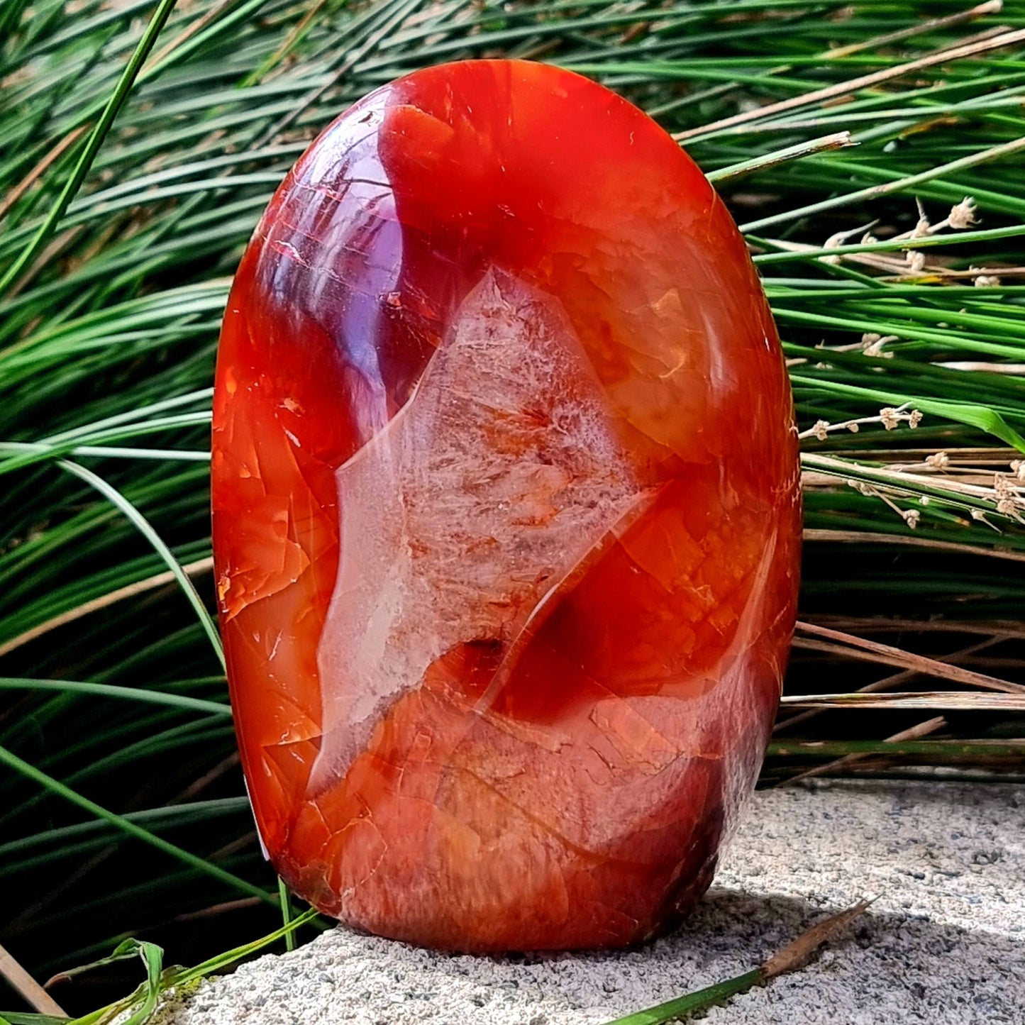 Carnelian Freeform #2124