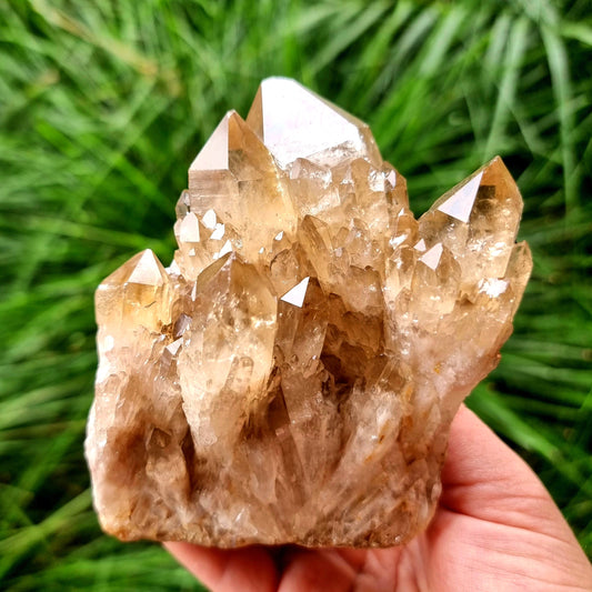 Kundalini Citrine Cluster #2097