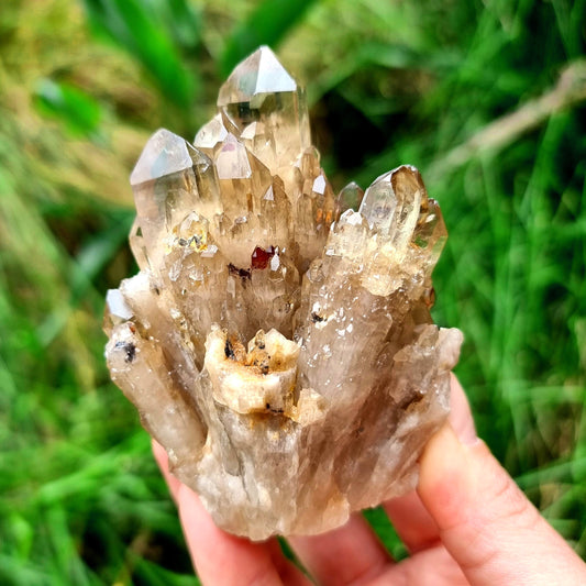 Kundalini Citrine Cluster #2098