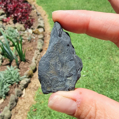 Shungite Rough #2278