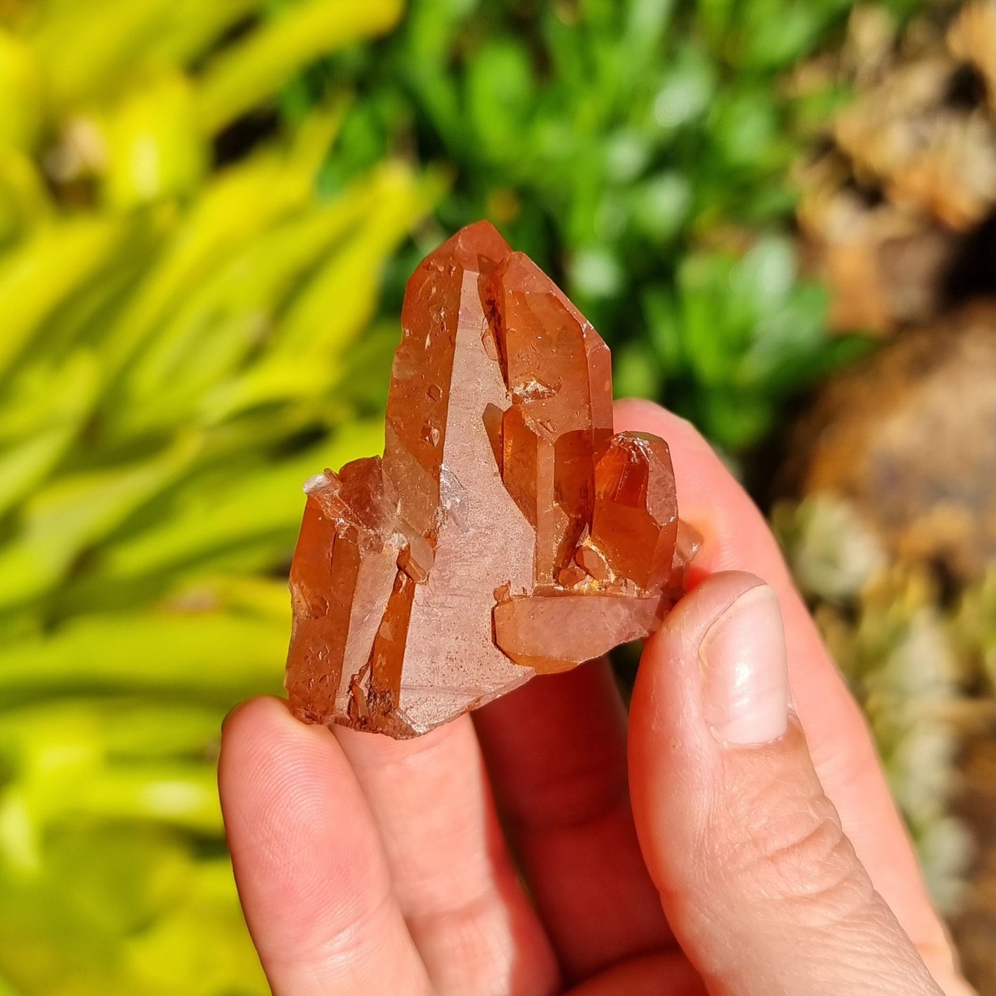 Tangerine Quartz Cluster #2322