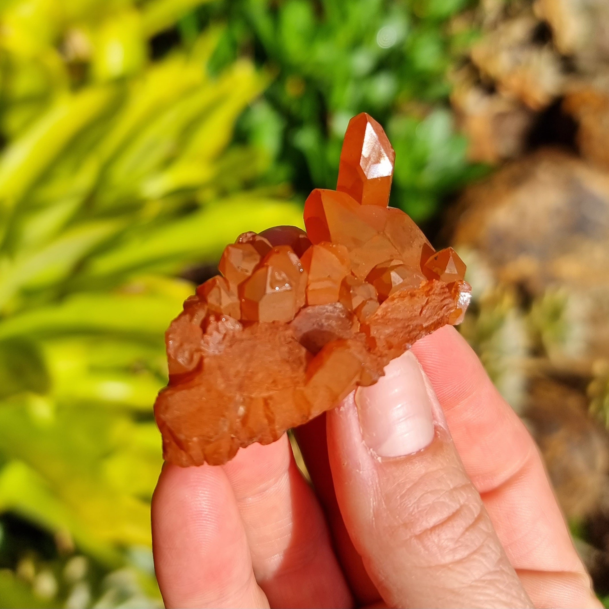 Tangerine Quartz Cluster #2326