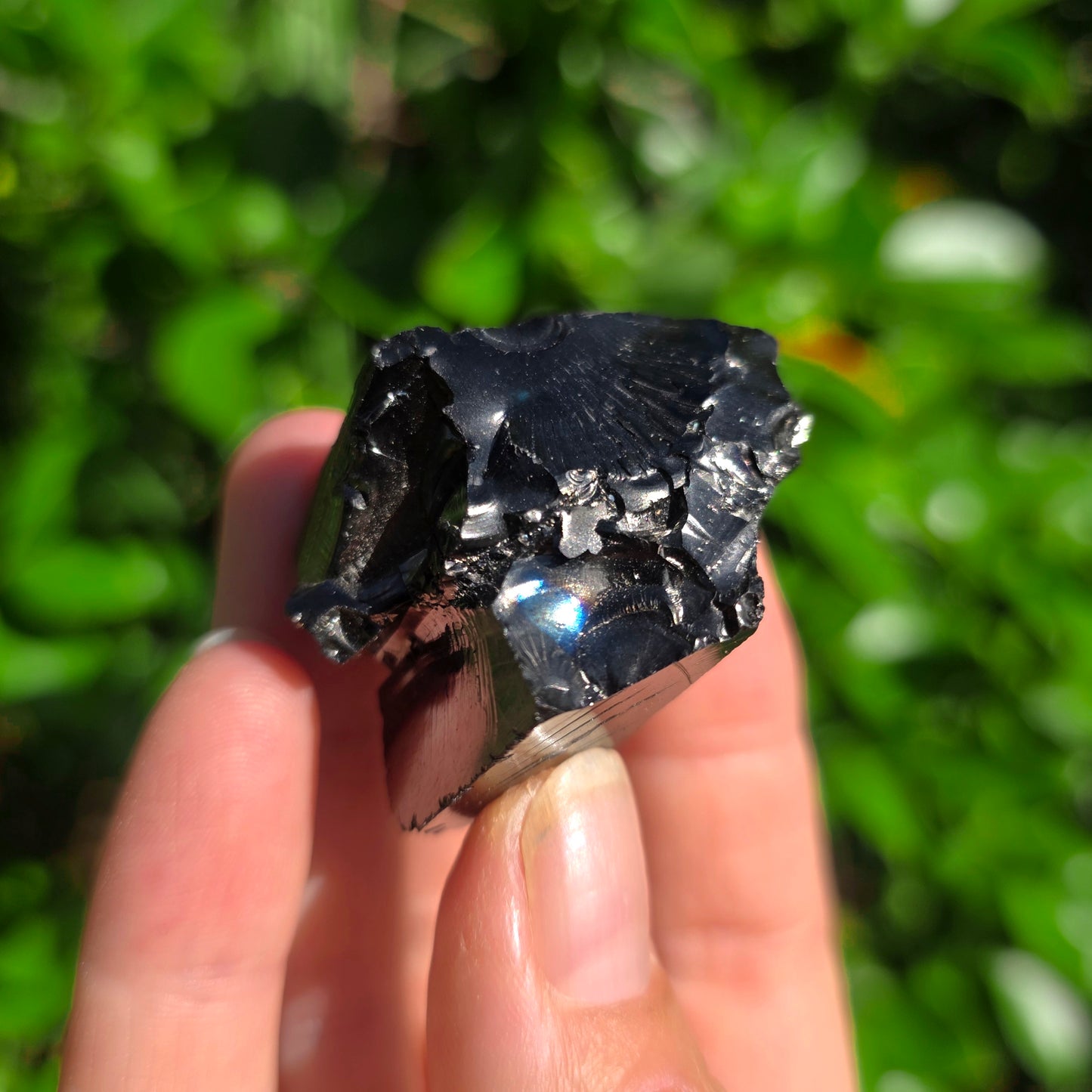 Elite Shungite Rough #2203