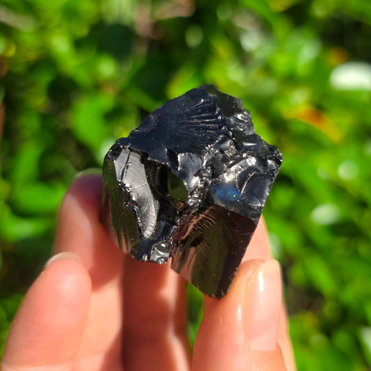 Elite Shungite Rough #2203