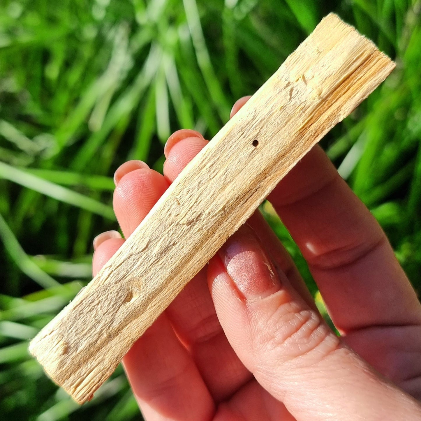 Palo Santo Stick #1494